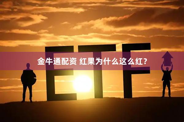 金牛通配资 红果为什么这么红？