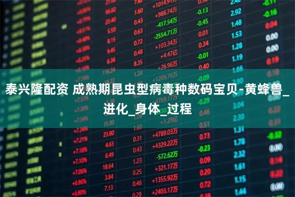 泰兴隆配资 成熟期昆虫型病毒种数码宝贝-黄蜂兽_进化_身体_过程